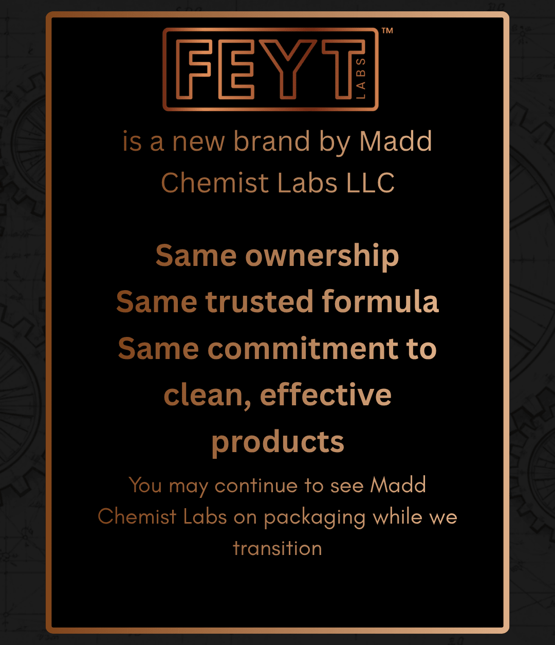 Steady Energy (Mango Pineapple) - FEYT Labs
