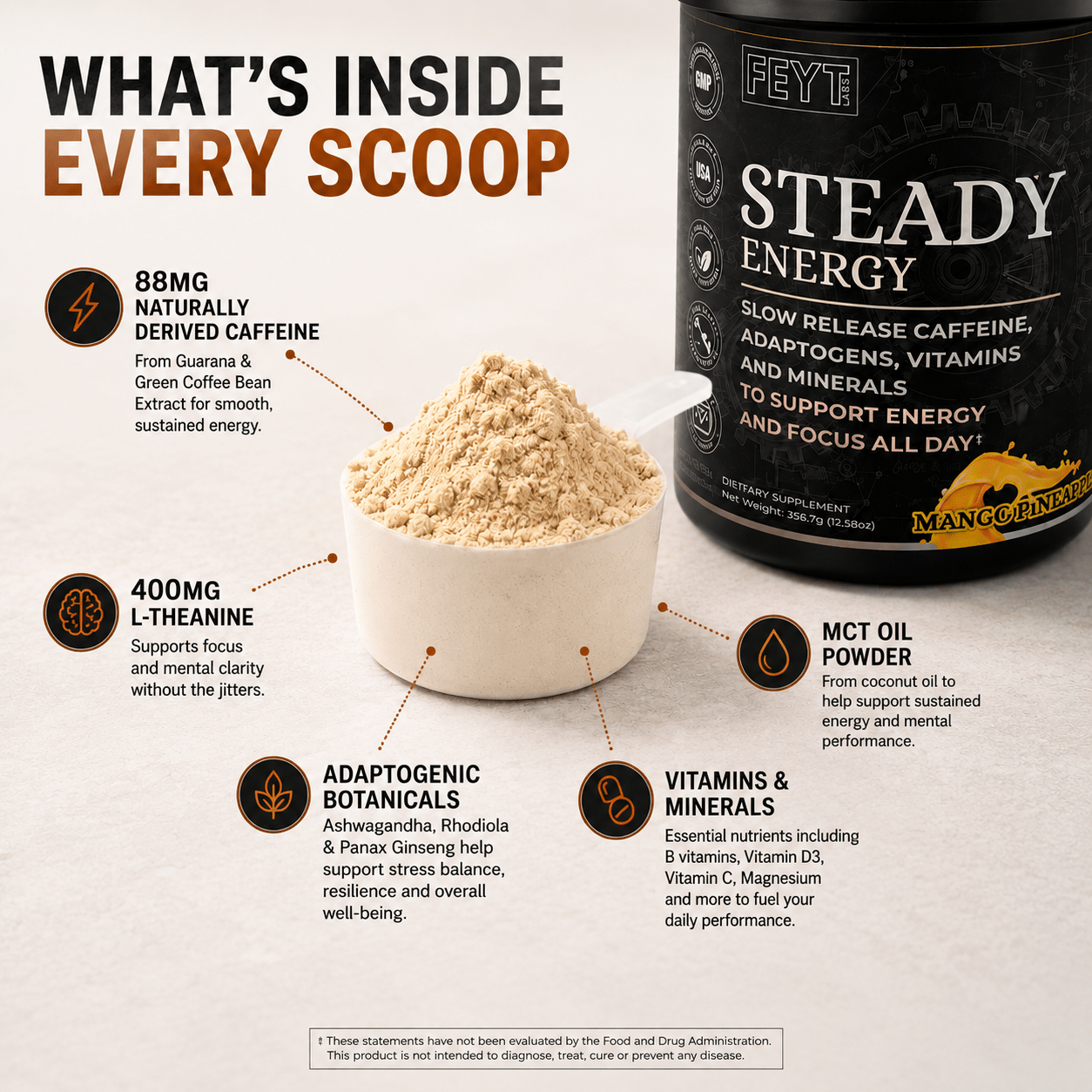 Steady Energy supplement ingredients and benefits including adaptogens, nootropics, vitamins, and minerals